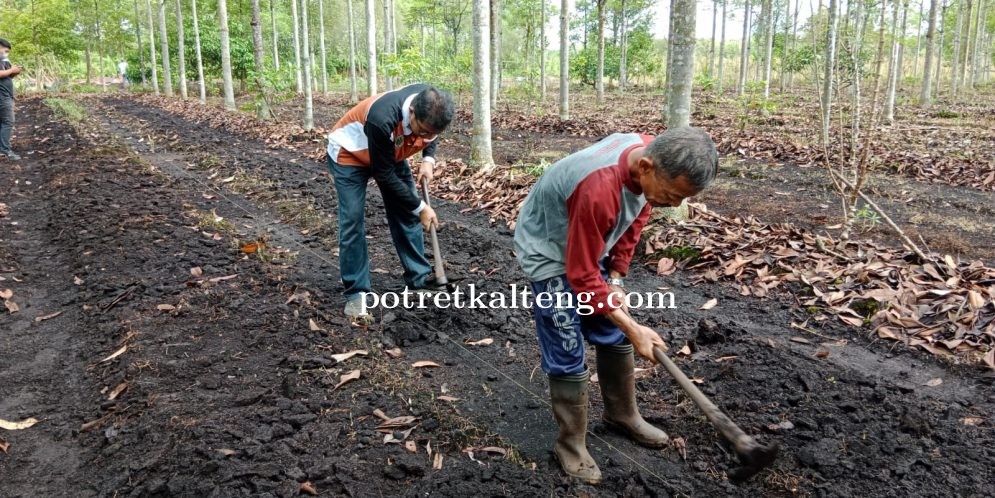 Memasuki Musim Kemarau, DLH Kota Palangka Raya Gencar Mengadakan Sosialisasi Cegah Karhutla