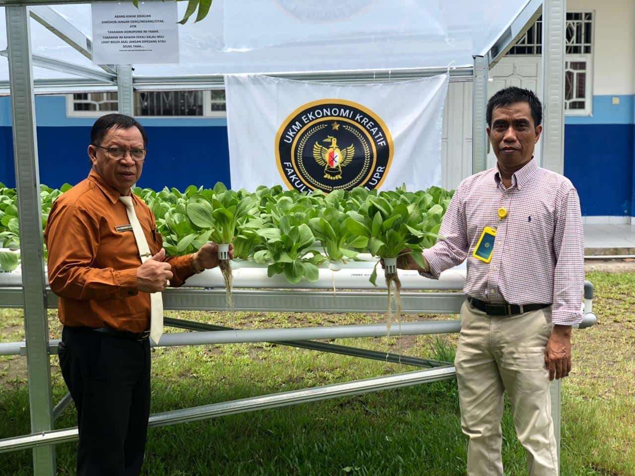 Dukung Ekonomi Kreatif. Fakultas Hukum Panen Perdana Hidroponik Pakcoy