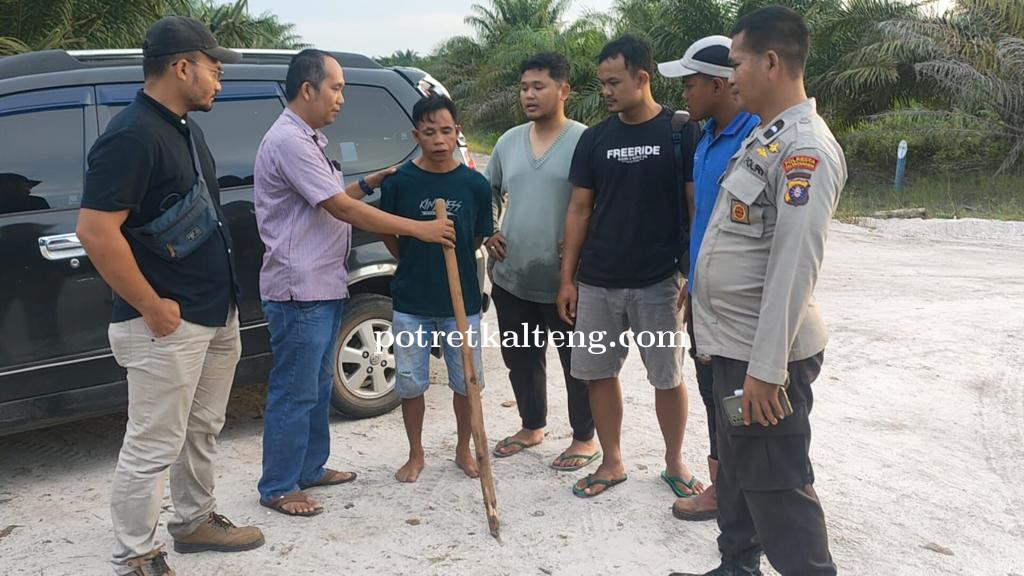 Polsek Rakumpit Tangkap Pelaku Terduga Pencurian Buah Sawit di PT. MAPA