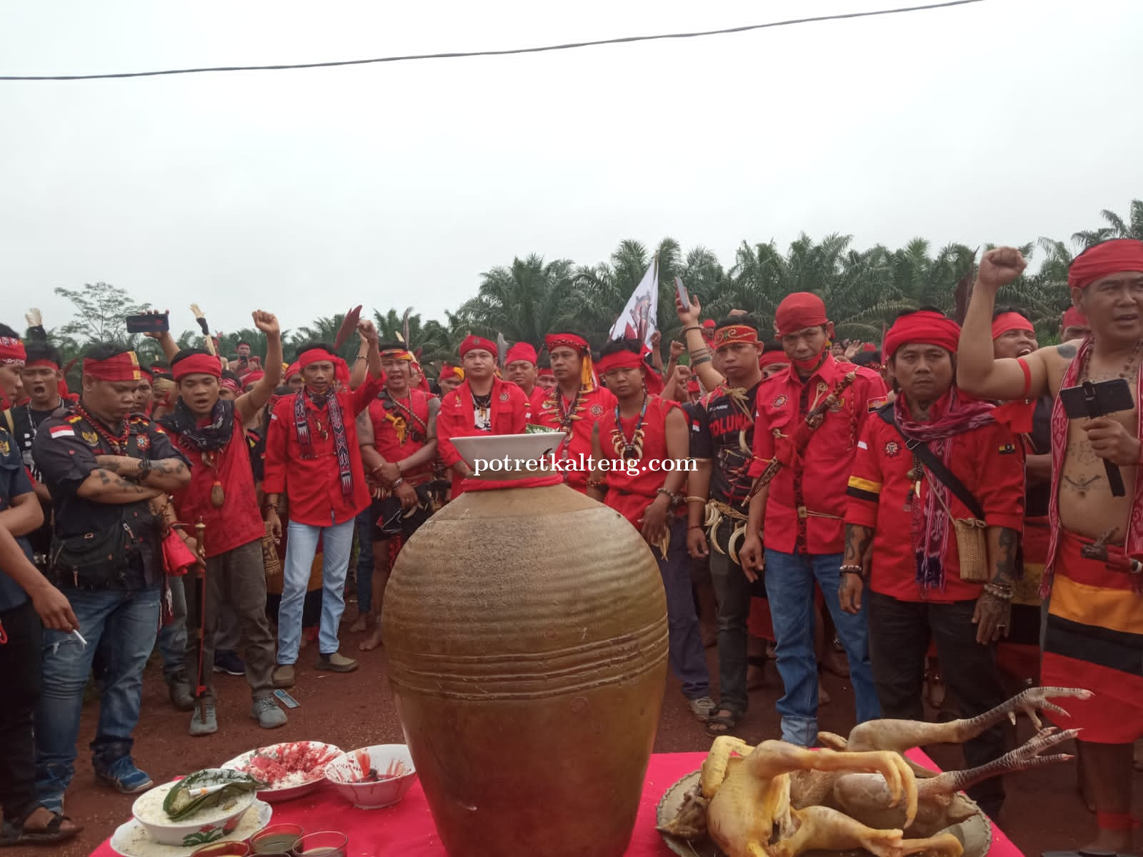 1000 Pasukan TBBR Merahkan Areal PT. GAL Dalam Konflik Lahan