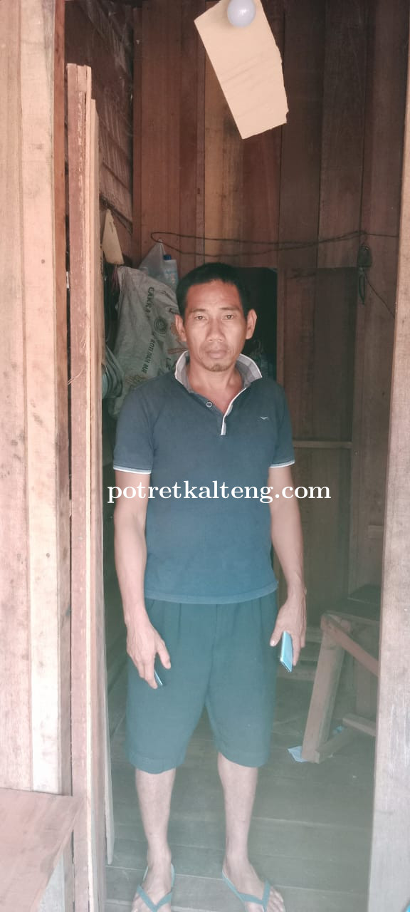 Pembangunan Banyak, Permintaan Bahan Baku Kayu Meningkat