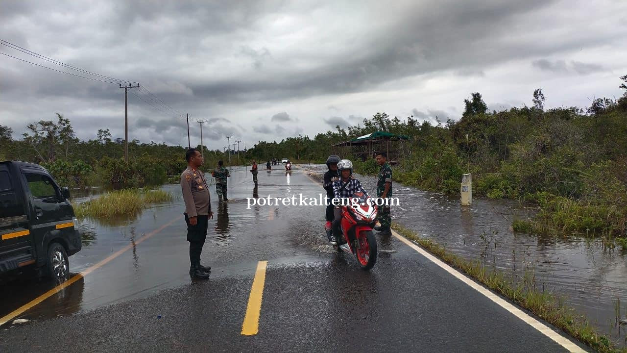 Ini Perkembangan Banjir Pada Jalan Lintas Negara Palangka Raya - Buntok