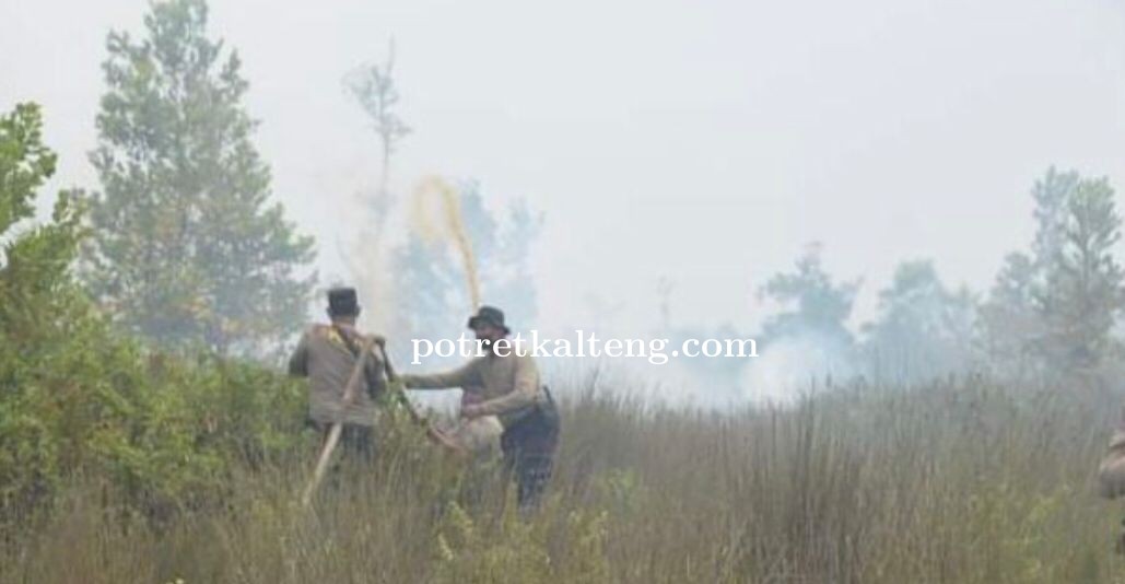 Pemko Palangka Raya Tegas Akan Tangani Karhutla