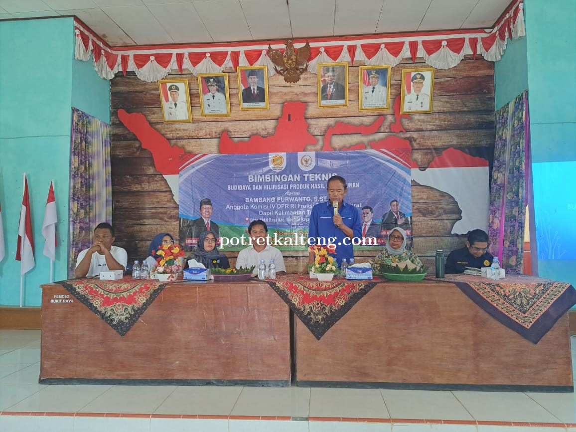 Penyakit Hama Pengaruhi Hasil Produksi Kelapa Sawit, Bambang Purwanto Lakukan Ini!