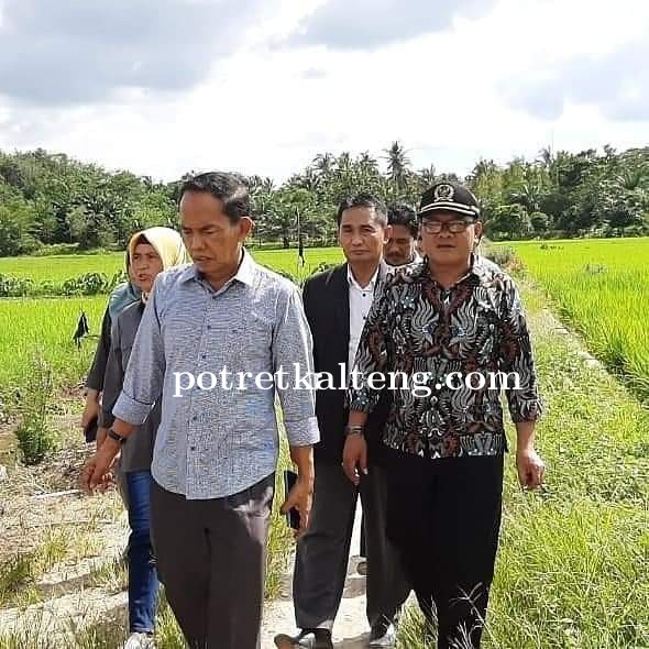 Bambang Purwanto Dorong Pemerintah Tambah Anggaran Subsidi Pupuk Bagi Petani dan Masyarakat Kecil