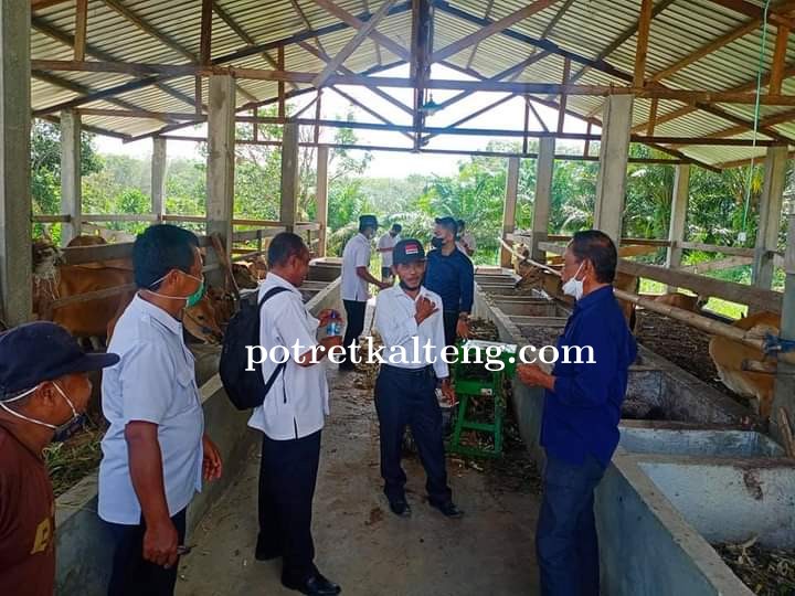 Bambang Purwanto Hadirkan Program Bantuan Ternak Gratis, Mengatasi Kelangkaan Pupuk diKalimantan