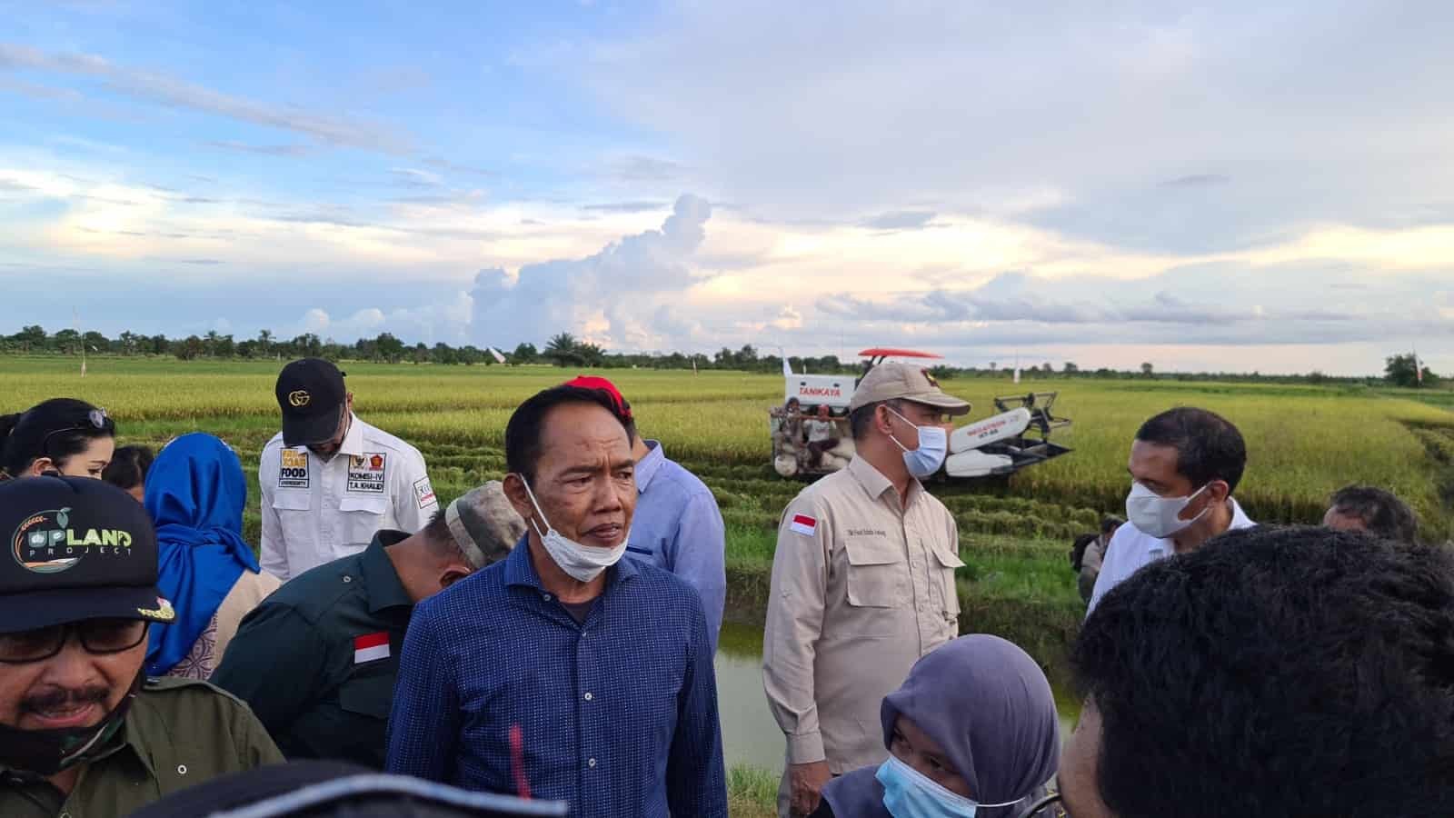 Kurangi Impor, Bambang Purwanto Dorong Pemerintah Optimalkan Penyerapan Beras Petani Dalam Negeri