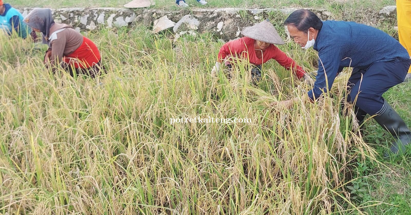 Bambang Purwanto: Penguatan Kelembagaan Petani adalah Langkah Awal Peningkatan Kesejahteraan Petani