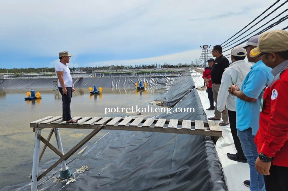Gubernur Kalteng, H. Sugianto Sabran Sambangi Tahap Uji Konstruksi Shrimp Estate Kalteng Berkah