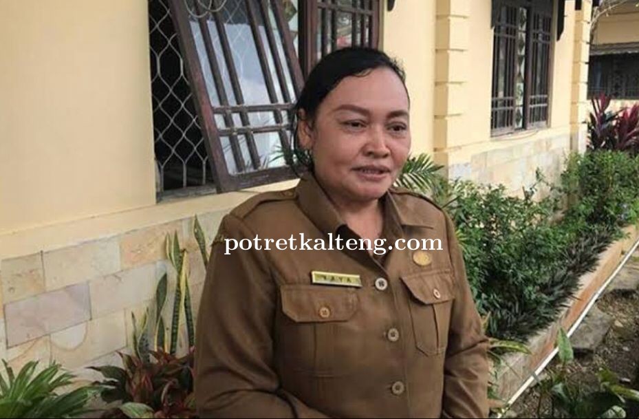 Gagal Kembangkan Bawang Merah, Distan Kapuas Sebut Faktor SDM dan Iklim