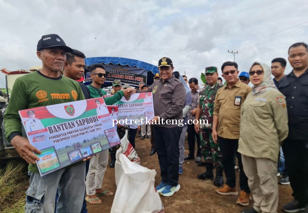 Dinas TPHP Kalteng Dukung Panen Raya Padi Kawasan Food Estate dan Peningkatan Produksi Beras Pera