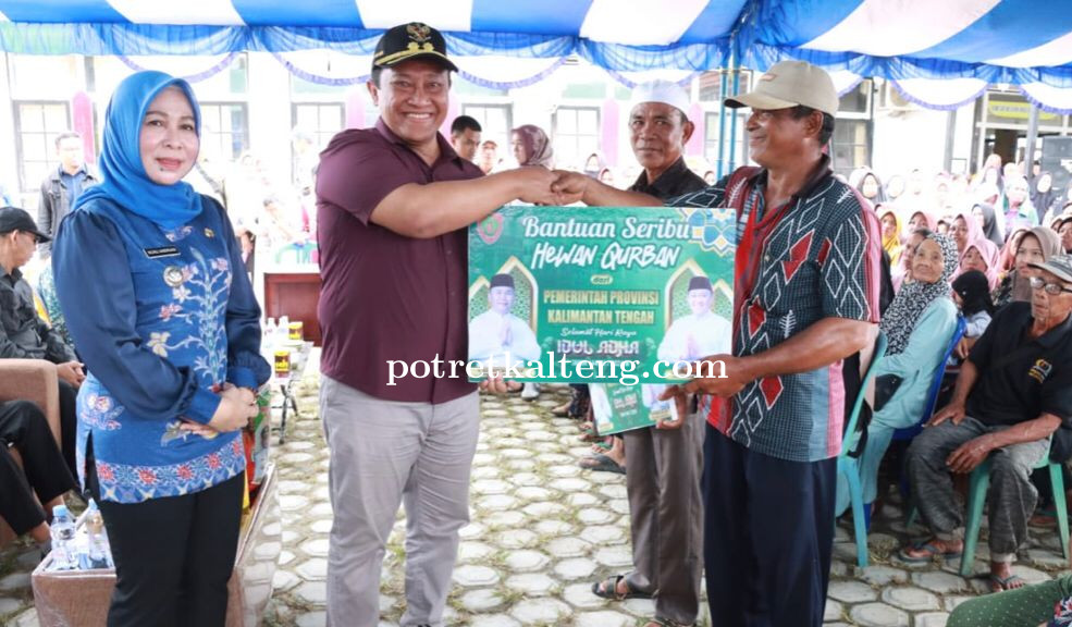 Wagub Kalteng Salurkan 1000 Paket Sembako dan Serahkan 2 Ekor Hewan Qurban di Kahayan Kuala