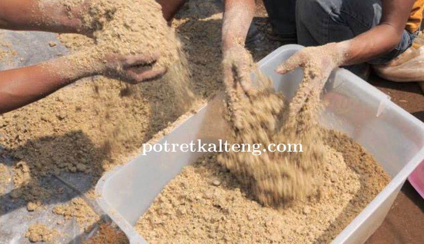 Mahasiswa KKN-T UPR Kelompok 65 Tahun 2024 Membuat Pelet Ikan Untuk Budidaya di Desa Gohong