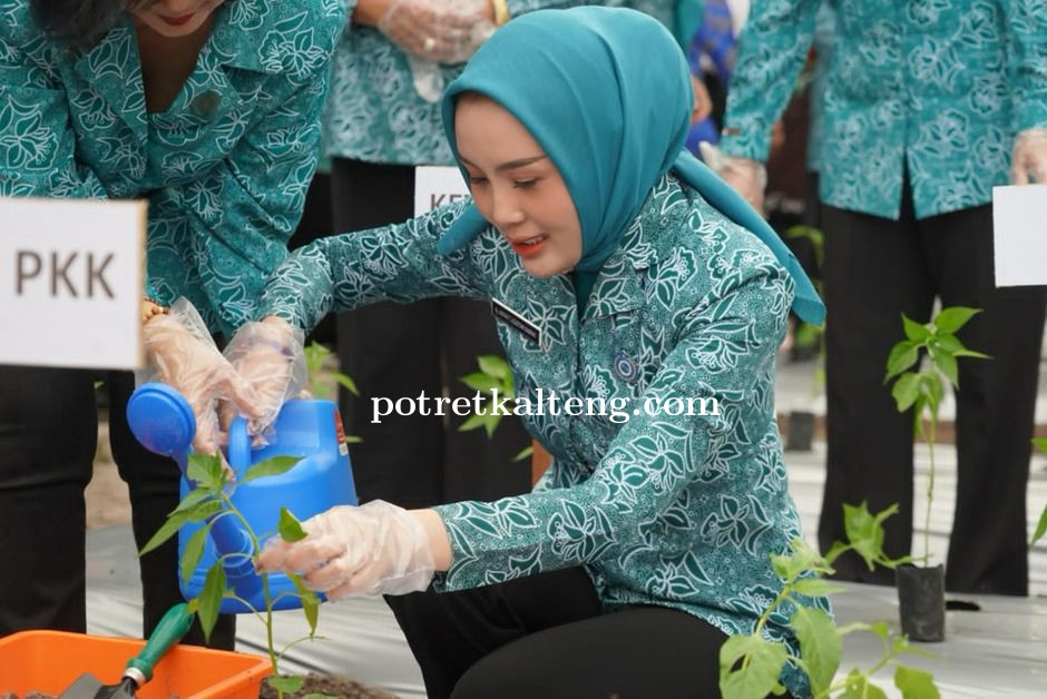 Dinas TPHP Kalteng Dukung Pemanfaatan Pekarangan PKK melalui Penyediaan Bibit Cabai Gratis