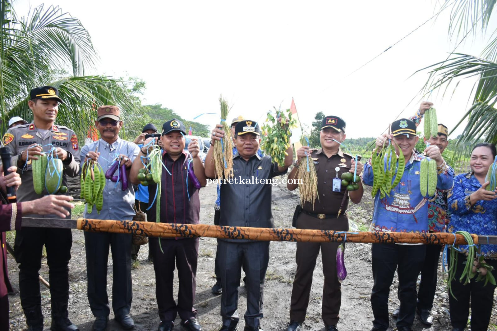 Bupati Kapuas Panen Padi dan Pare di Kapuas Hilir, Dorong Optimalisasi Lahan Pertanian