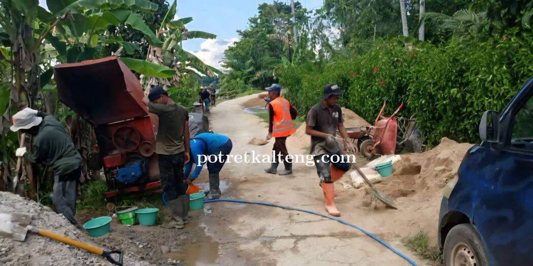 Pemkab Barsel Gerak Cepat Tangani Jalan Rusak Akibat Longsor di Pendang