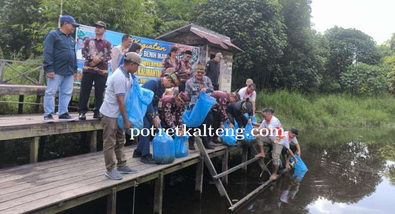 Pemprov Kalteng dan Pemkab Barito Timur Tebar 10.000 Benih Ikan di Sungai Sarapat