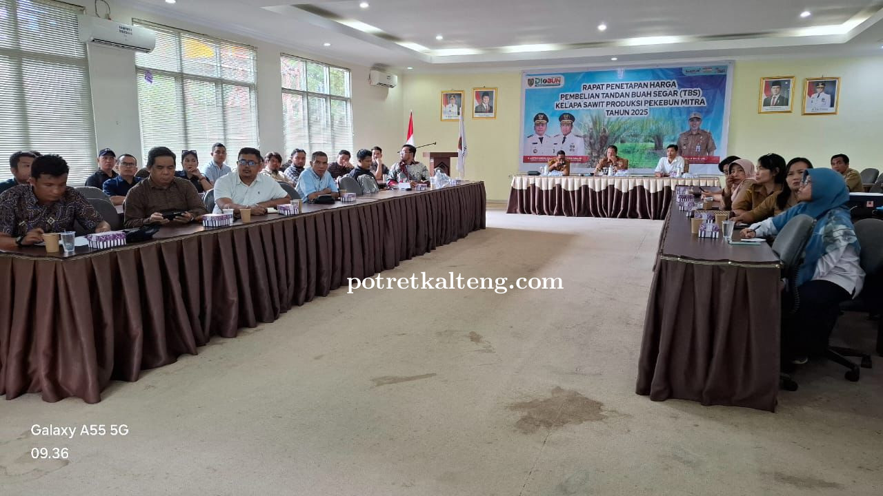 Harga TBS Sawit Kalteng Periode II Juli 2025 Naik, Tembus Rp3.295,71 untuk Umur Tanaman Produktif