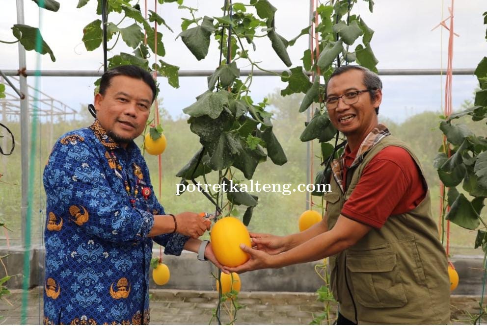 Dukung Pertanian Modern, Kalteng Gandeng UPN Veteran Yogyakarta Kembangkan Melon Unggulan