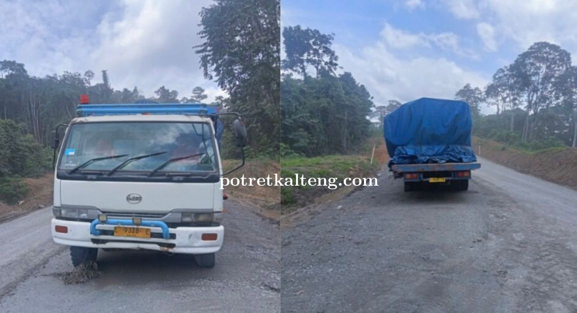 Truk Tronton Bermuatan Kayu Log Ditutup Terpal Ditemukan di Jalan Hauling PT. MUTU, Diduga Berasal d