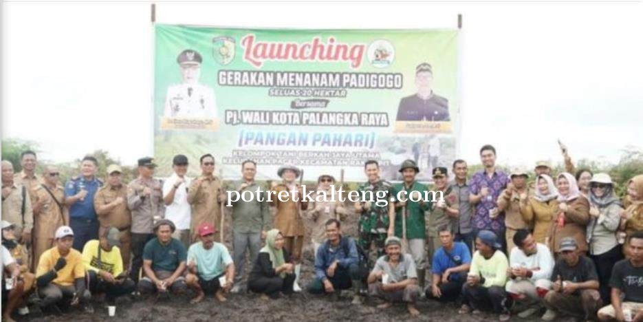Gerakan Tanam Padi dan Cabai untuk Ketahanan Pangan di Palangka Raya