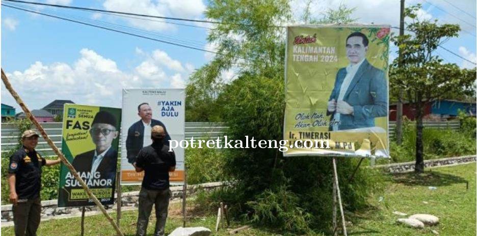 Satpol PP Palangka Raya Tertibkan 242 APK dan Spanduk Kadaluwarsa