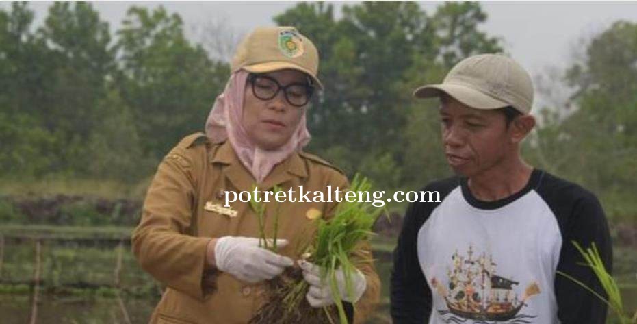 Pentingnya Membangun Infrastruktur Pertanian yang Memadai di Palangka Raya