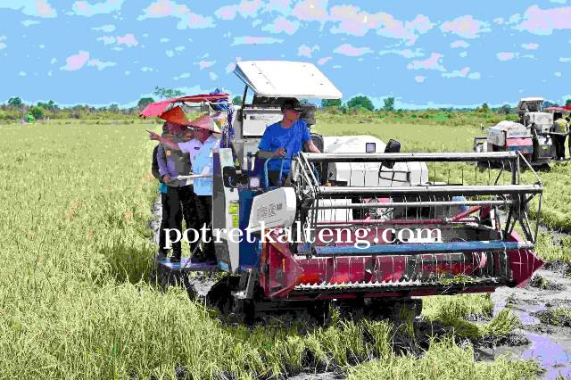 Kepala BAPPERIDA Kalteng Hadiri Panen Raya Padi Serentak Nasional