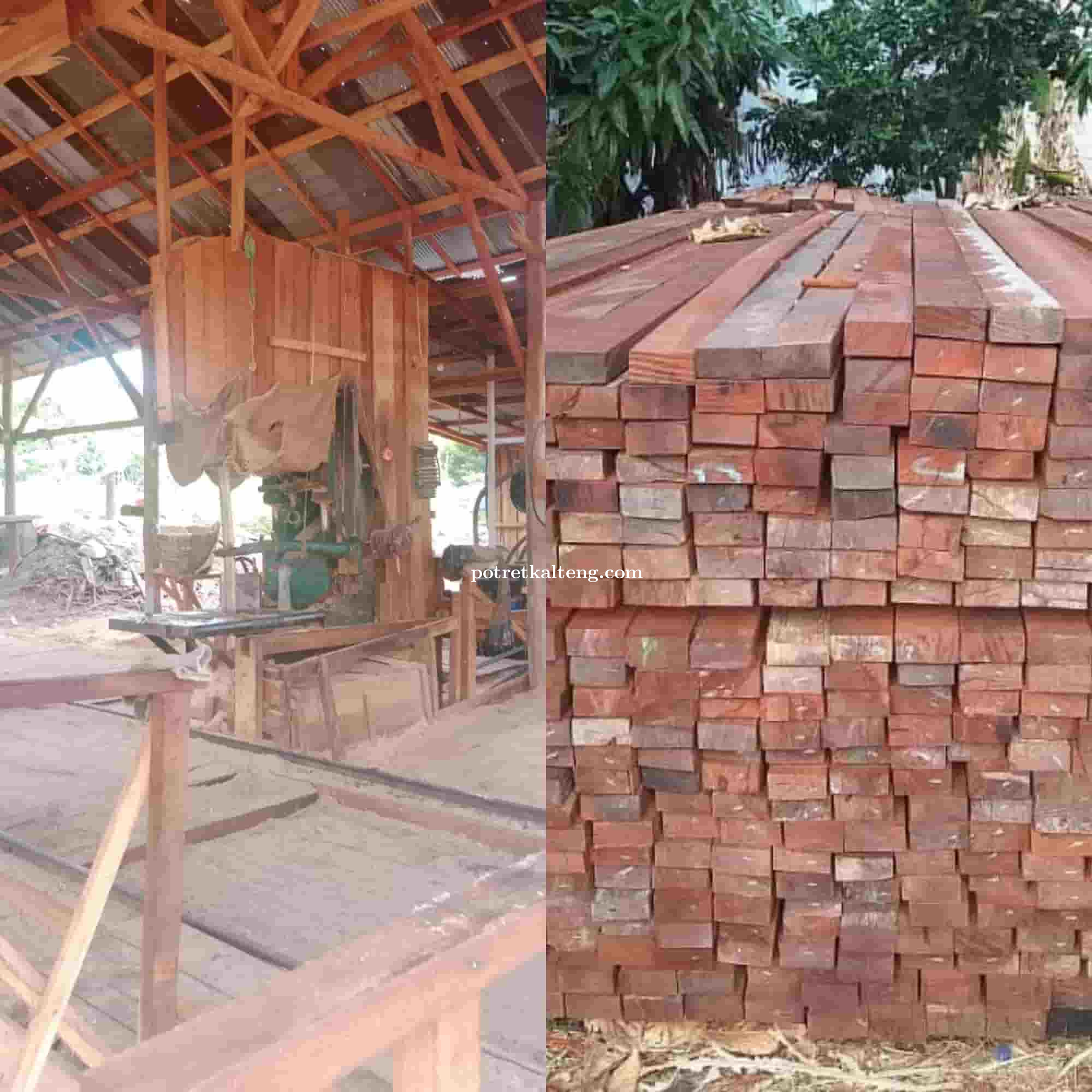 Masih Banyak Masyarakat Yang Memerlukan Kayu Untuk Pembangunan
