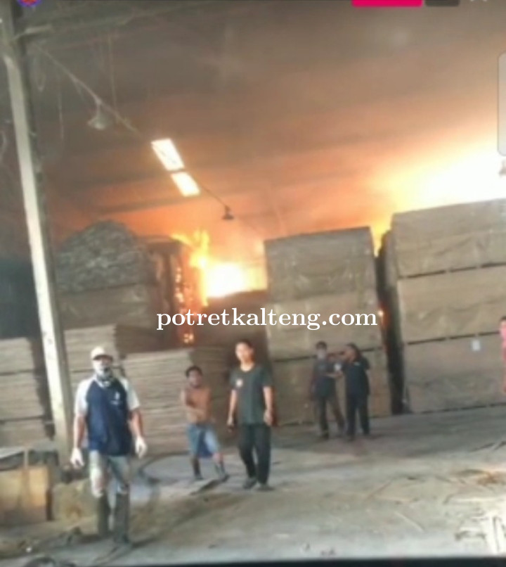 PT Kayu Lima Sejahtera Plywood Kapuas Dilalap Si Jago Merah, 3 Orang Karyawan Dilarikan Ke RSUD Kapu