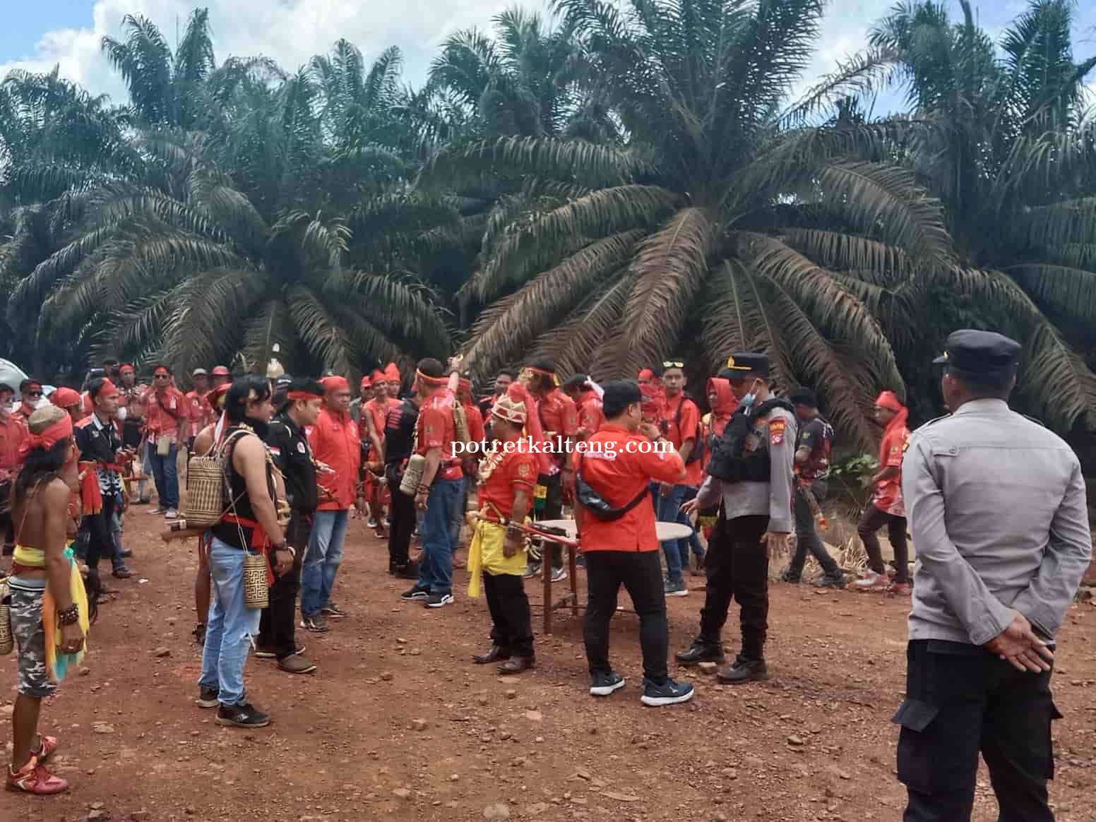 PERPEDAYAK PLB : Pemkab Pulpis Tidak Konsisten Dalam Sangketa Tanah Antara Masyarakat dan PT. SCP !