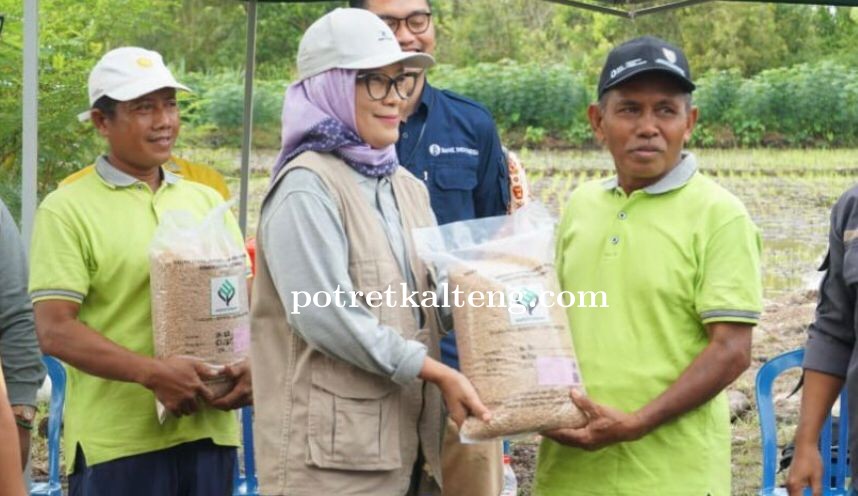 Komitmen Dukung Sektor Pertanian, Pj Walikota Serahkan Benih Padi kepada Kelompok Tani