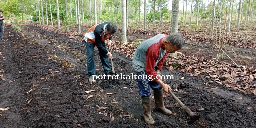 Memasuki Musim Kemarau, DLH Kota Palangka Raya Gencar Mengadakan Sosialisasi Cegah Karhutla