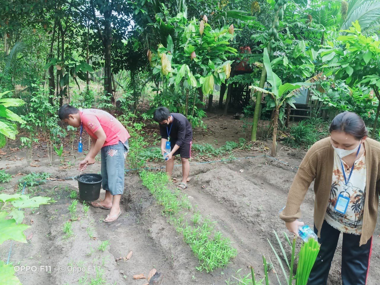 Tanam Kangkung dan Mengolah Keripik Pepaya Muda, Jadi Ide Kreatif Pengabdian Mahasiswa KKN-T Mandiri