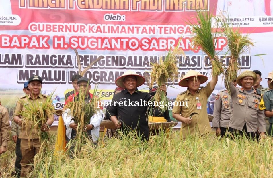 Wagub Kalteng Pimpin Panen Perdana Padi Inbrida di Desa Damparan Kabupaten Barsel