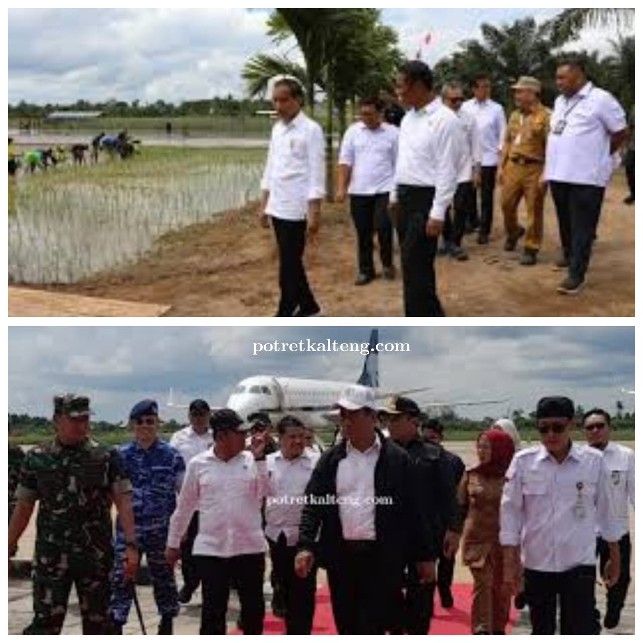Gempita Kalteng:Peninjauan Program Pompanisasi  Presiden Dukung Program Pembukaan Sawah Di Lempuyang