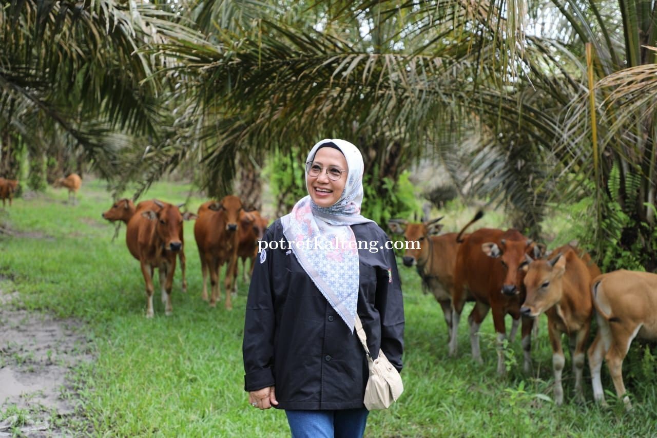 Kunjungan Kepala Dinas TPHP Prov. Kalteng Dorong Pengembangan Hibah Ternak dan Pabrik Pakan Rumahan