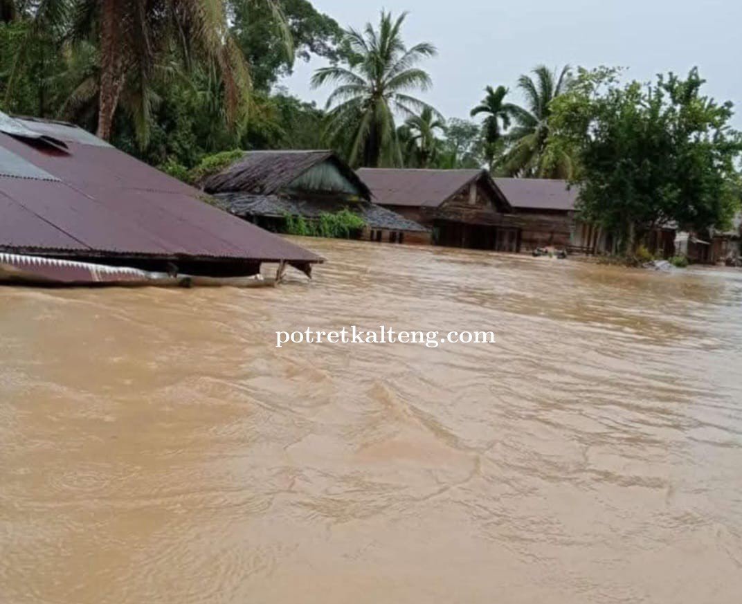 Hujan Deras dan Sungai Meluap, Banjir Parah Terjang Dusun Tumbang Mamput di Kabupaten Kapuas