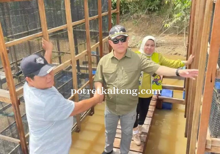 Pj Bupati Barsel Tinjau Keramba Ikan dan Aktivitas Pasar Tradisional