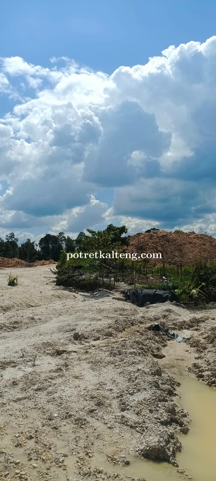 Ketua Umum LSR LPMT Kalteng Minta Aparat Tindak Oknum Ketua Ormas Yang Bekingi Kegiatan PETI
