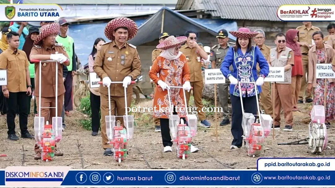 DLHK Salurkan 30,7 Ton Benih Jagung Hibrida, Bupati Barito Utara Serahkan Alat Pertanian untuk Penin