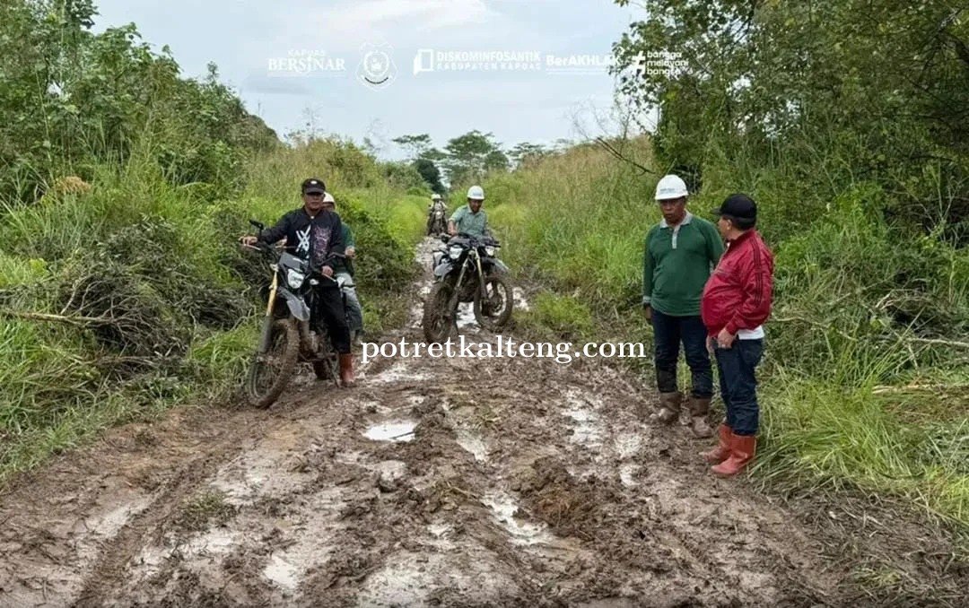 Bupati Kapuas Tinjau Jalan Rusak dengan Motor Trail di Kapuas Kuala–Bataguh