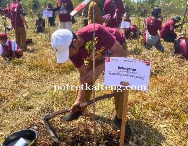 Dishut Kalteng Ikuti Gerakan Pemulihan Ekosistem Serentak