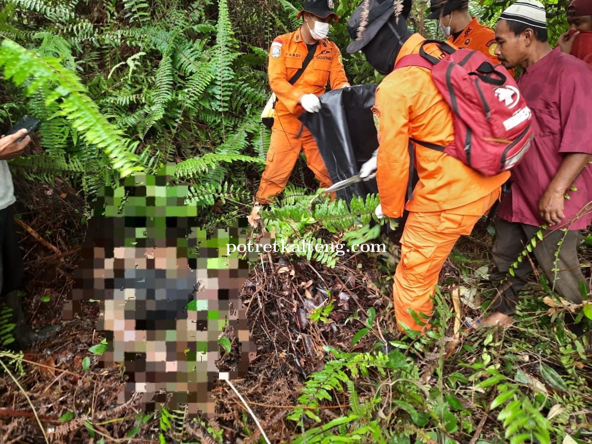 6 Hari Hilang Dihutan, Seorang Kakek di Barsel Akhirnya Ditemukan Meninggal Dunia
